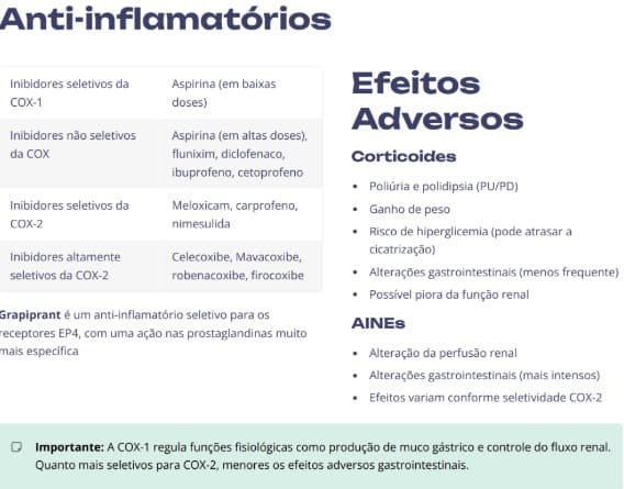 Amostra do curso - página 2