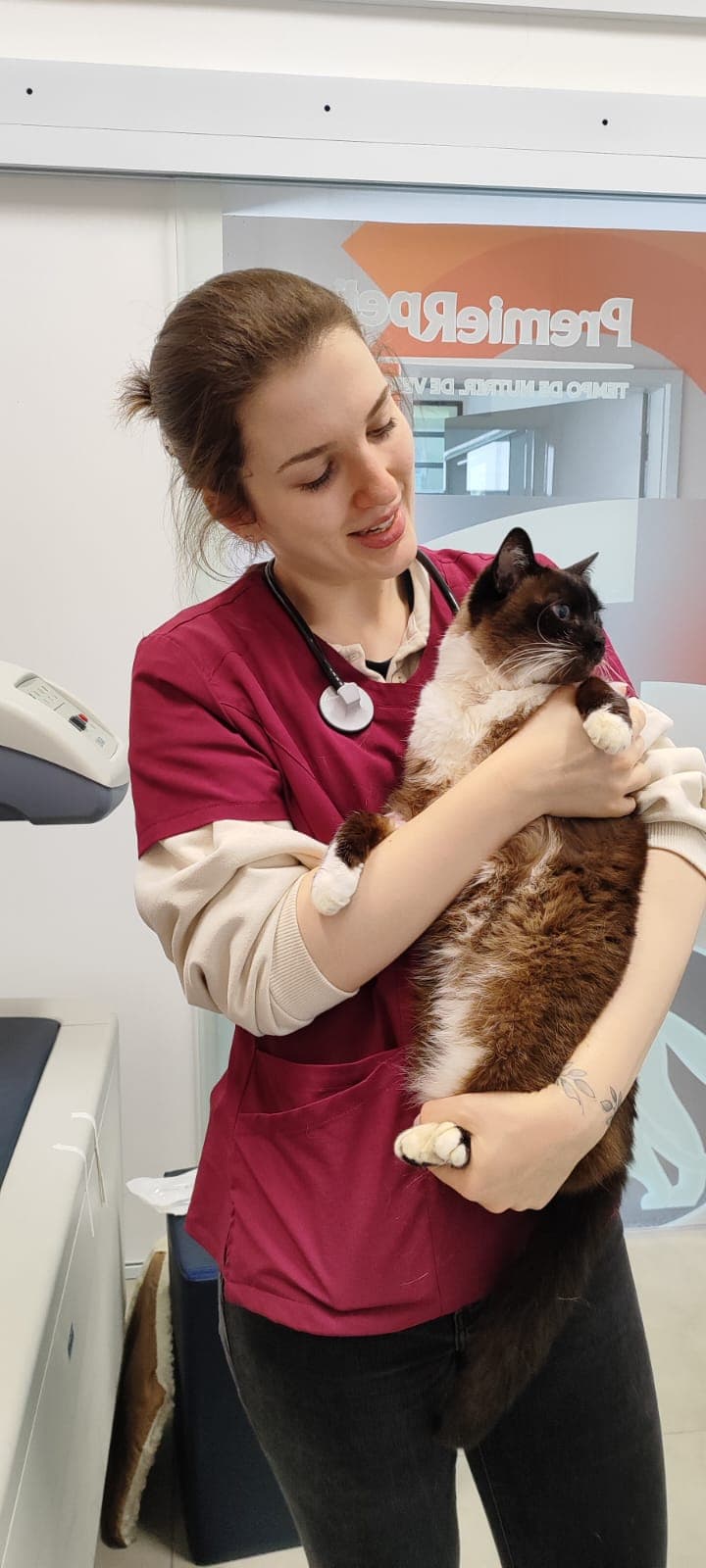 MV Júlia Ferraz segurando um gato na clínica veterinária